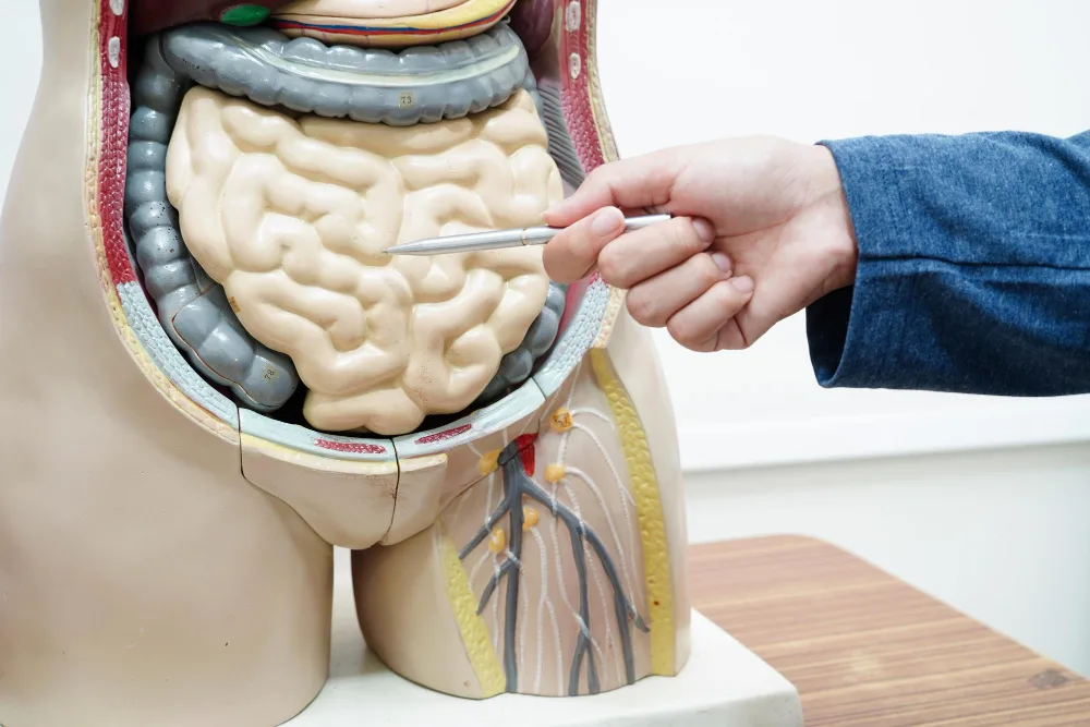 Cirugía de vesícula biliar, hernia inguinal, resección intestinal, prolapso rectal y rectocele en Edo. Méx.